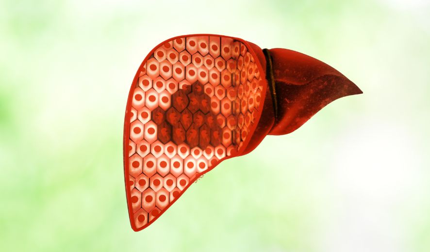 An toàn và nguy cơ hình thành khối u