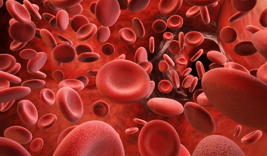 Cải thiện rối loạn đông máu