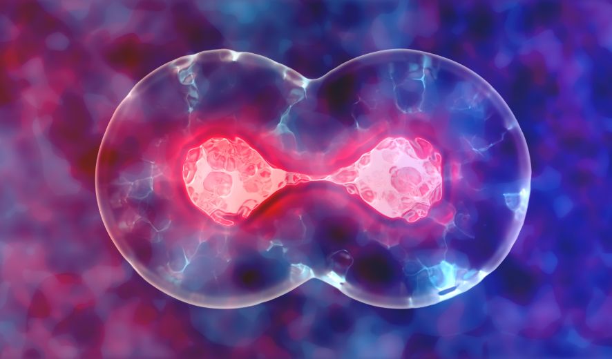 Kích thích quá trình tự sửa chữa tự nhiên