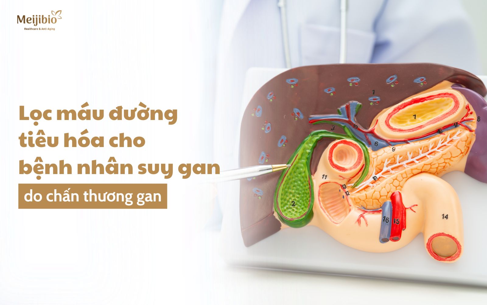 10 Myths About Cosmetic Surgery: Debunked by Experts