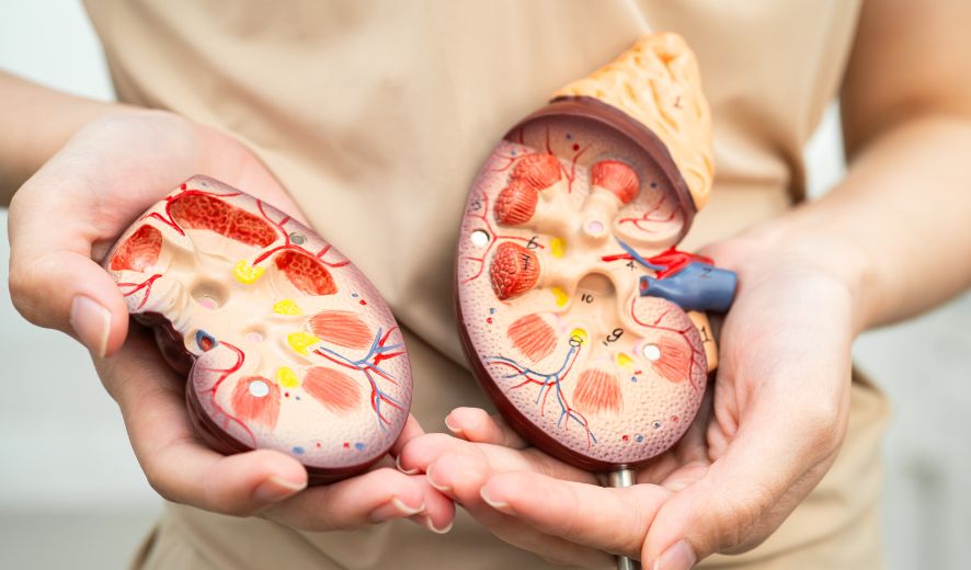 Suy thận cấp kèm suy gan