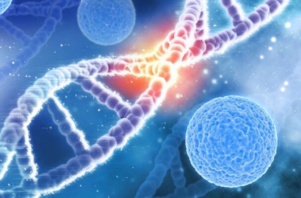 10 Myths About Cosmetic Surgery: Debunked by Experts