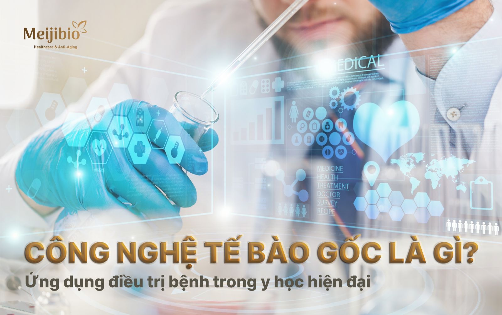 10 Myths About Cosmetic Surgery: Debunked by Experts