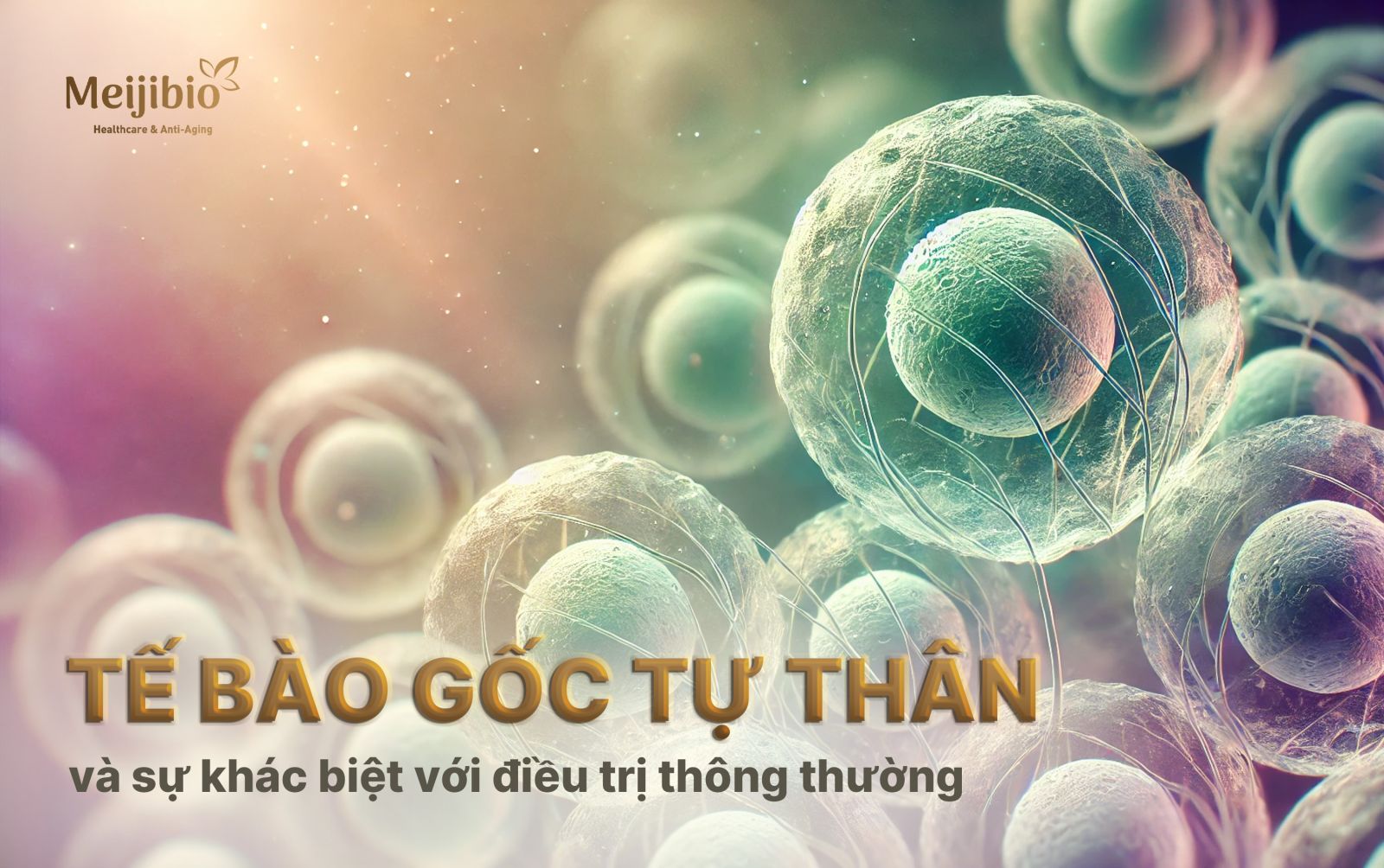 10 Myths About Cosmetic Surgery: Debunked by Experts