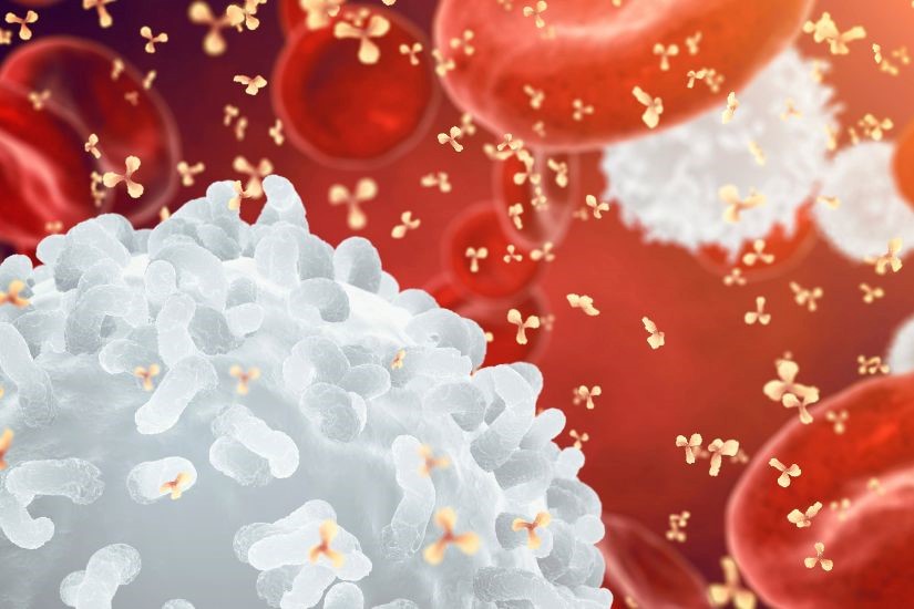 Một số câu hỏi sinh lý tế bào diệt tự nhiên NK