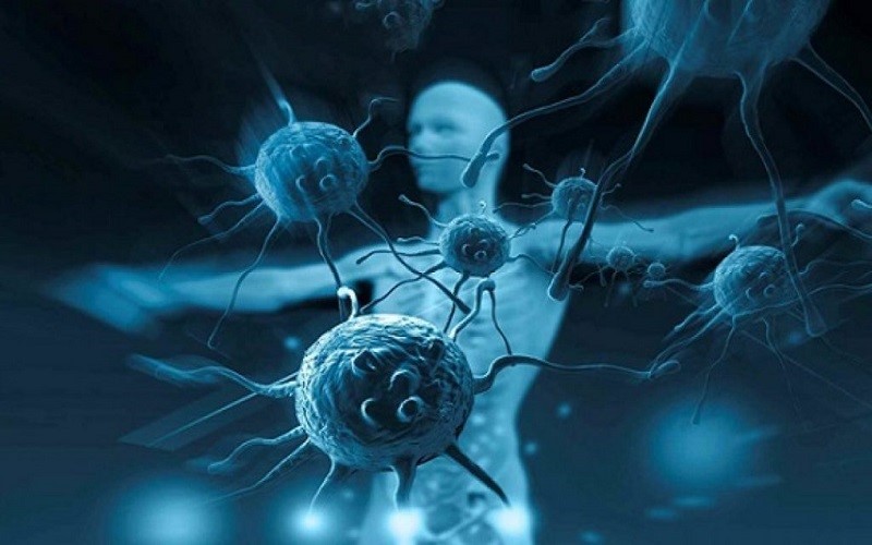 Quy trình tiến hành liệu pháp miễn dịch từ tế bào NK