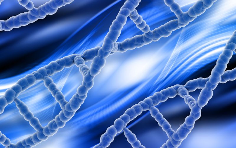 Các loại tế bào gốc đa năng cảm ứng (iPSC) còn được gọi là tế bào gốc đa tiềm năng cảm ứng