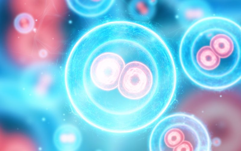 Tế bào gốc là “món quà của mẹ tạo hóa” giúp tái tạo, sửa chữa và phục hồi các mô tạng, tế bào 