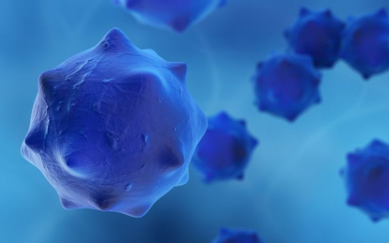 Cấy ghép tế bào beta tuyến tụy