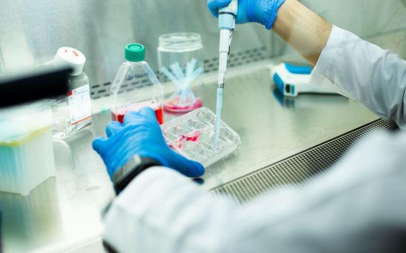 Cấy ghép tế bào gốc trung mô (MSC - Mesenchymal Stem Cells)