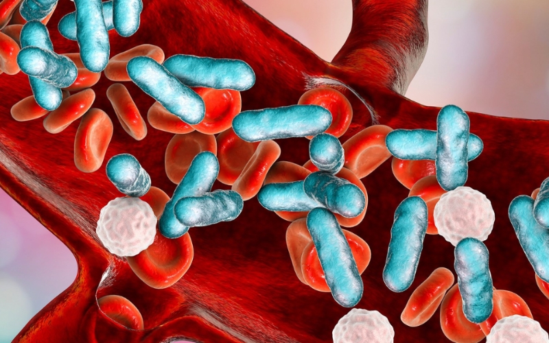 Chi phí lọc máu nhiễm khuẩn tùy thuộc vào cơ sở vật chất, công nghệ và nơi thực hiện