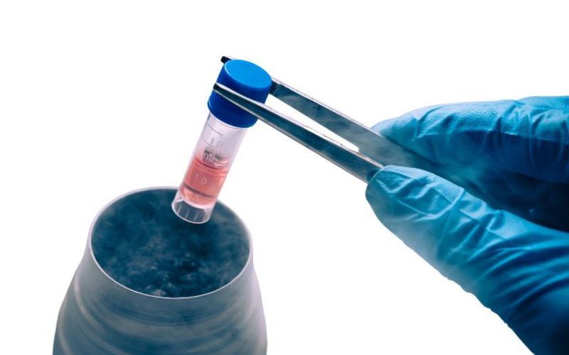 Cơ chế hoạt động của tế bào gốc trong điều trị tiểu đường