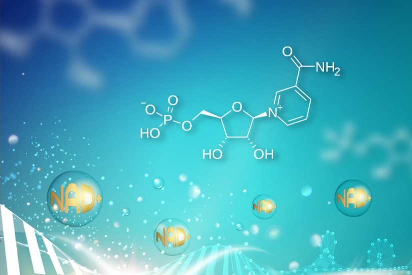 Công dụng NMN trong việc trẻ hóa làn da