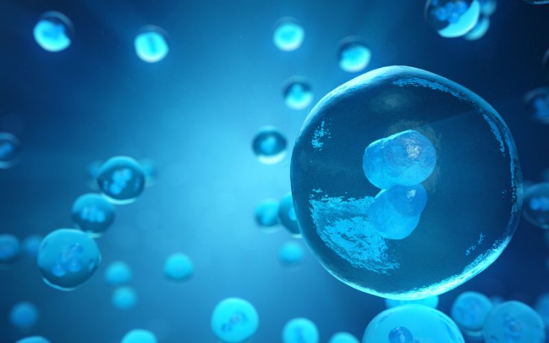 Công nghệ tế bào gốc trong thẩm mỹ giúp tái tạo và phục hồi làn da từ bên trong