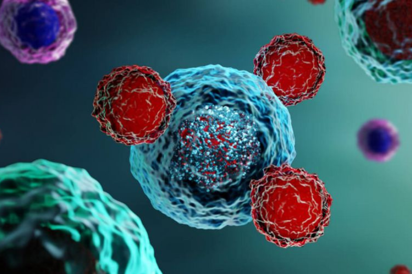 Liệu pháp lọc máu tuần hoàn tại Meijibio