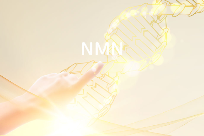 Liệu pháp NMN của Meijibio