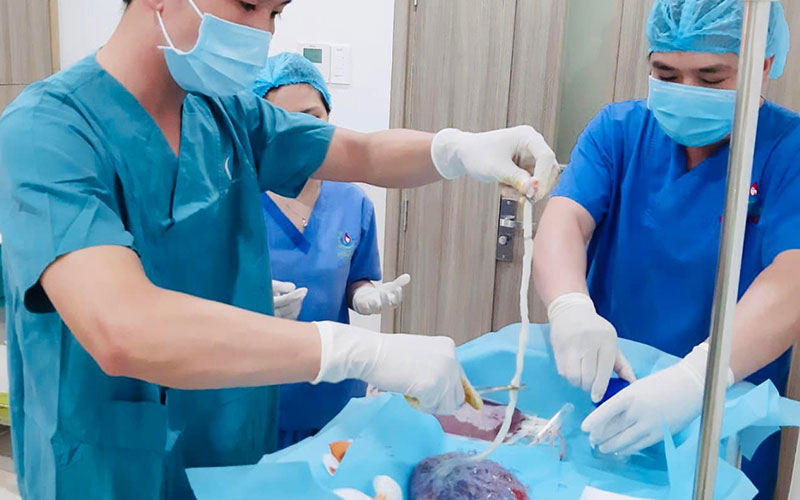 Giá dịch vụ lưu trữ tế bào gốc bao nhiêu tuỳ thuộc vào nhiều yếu tố