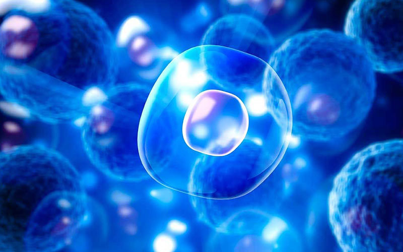 Chọn địa chỉ cung cấp dịch vụ lưu trữ tế bào gốc uy tín