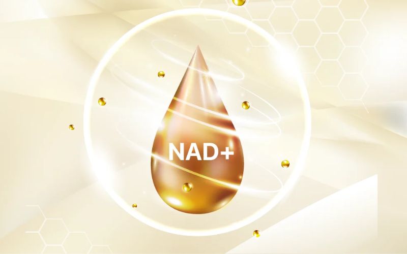 Cơ chế hoạt động và khả năng trẻ hoá tế bào của NMN là gia tăng NAD+