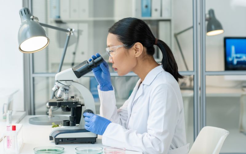 Dựa trên khả năng biệt hóa và nguồn gốc, tế bào gốc được phân loại thành các nhóm chính