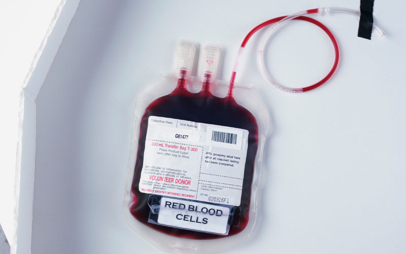 Tế bào máu đảm nhận chức năng quan trọng trong cơ thể