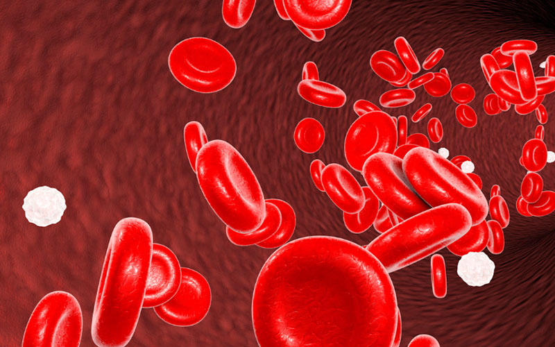 Có rất nhiều vấn đề liên quan đến tế bào máu như thiếu máu, rối loạn đông máu,...