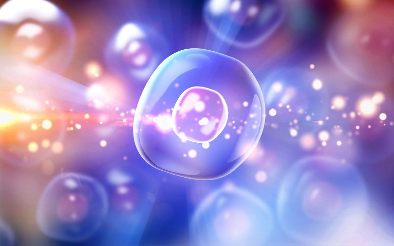 Tế bào gốc trong hỗ trợ điều trị thoái hóa khớp