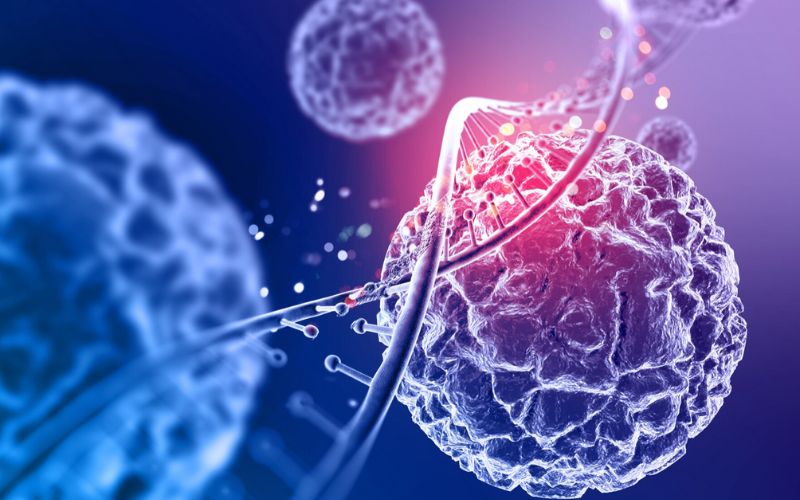 Tế bào gốc là công trình nghiên cứu đột phá của y học tái tạo mới