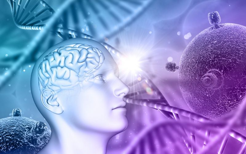 Cơ chế hỗ trợ điều trị bệnh tự miễn bằng tế bào gốc