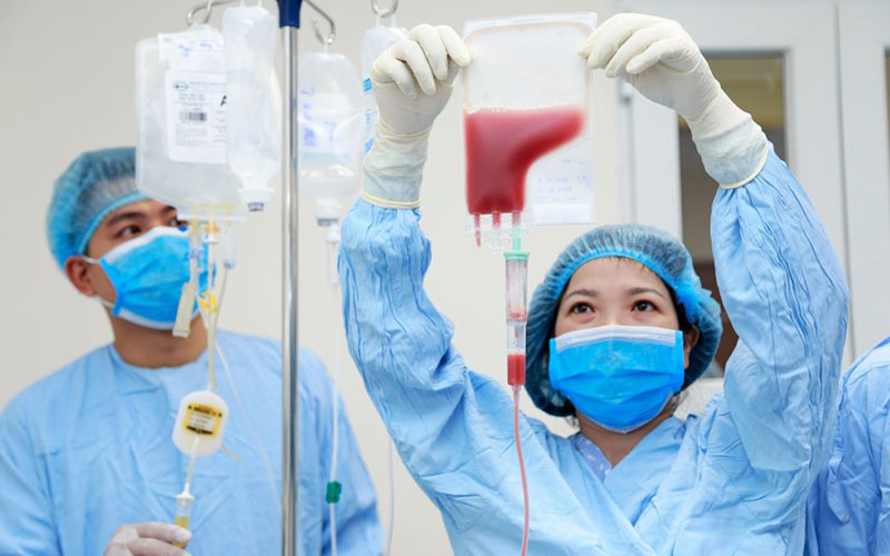 Cấy ghép tế bào gốc đồng loại