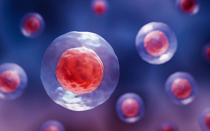 Chuẩn bị kỹ trước khi tiến hành điều trị bằng tế bào gốc