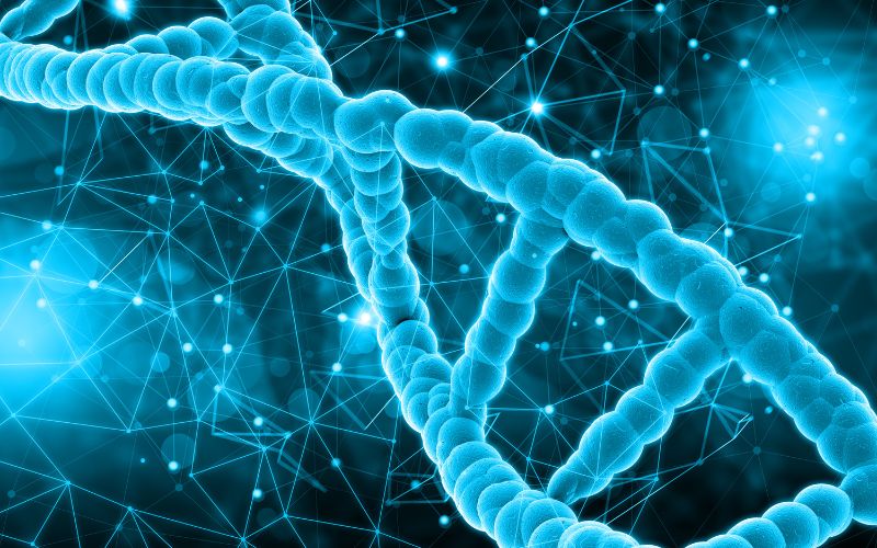 Tế bào gốc mô dây rốn hỗ trợ điều trị viên khớp dạng thấp