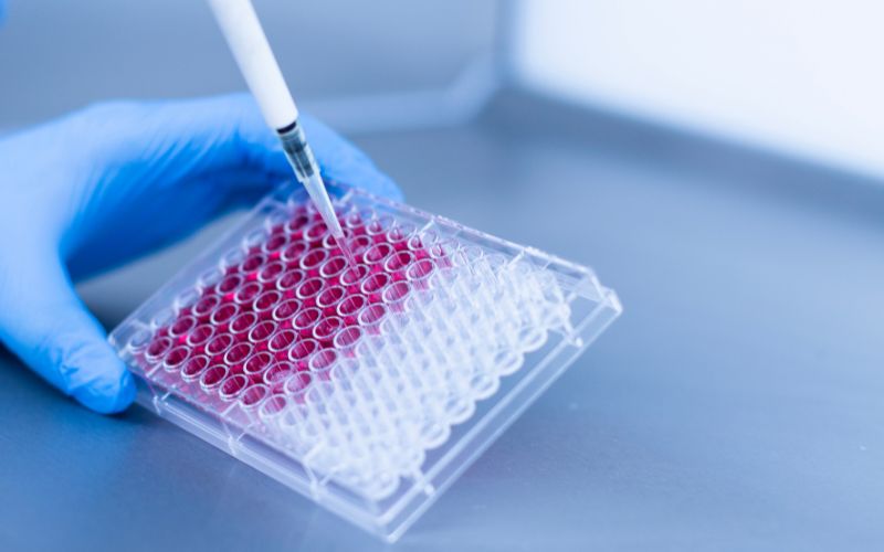 Liệu pháp tế bào gốc Nhật Bản trong ngành y học tái tạo