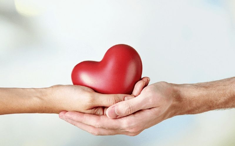 Lọc máu xấu giảm mỡ máu giúp duy trì sức khỏe tim mạch lâu dài