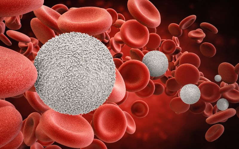 Lọc máu xấu nâng cao hệ miễn dịch - Có thật không?