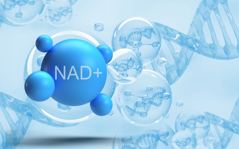 Lợi ích của liệu pháp NMN