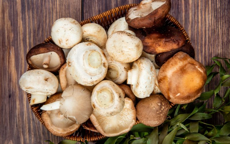 Một số loại nấm và đặc biệt nấm mỡ rất giàu dinh dưỡng và là nguồn thực phẩm bổ sung NAD+