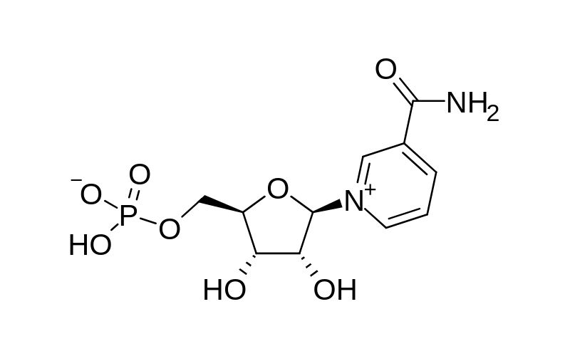 NMN (Nicotinamide Mononucleotide) là một hoạt chất tự nhiên trong cơ thể