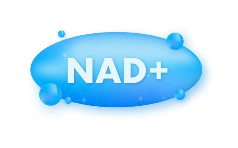 NMN gia tăng NAD+ cải thiện tuổi thọ, ngăn ngừa lão hoá