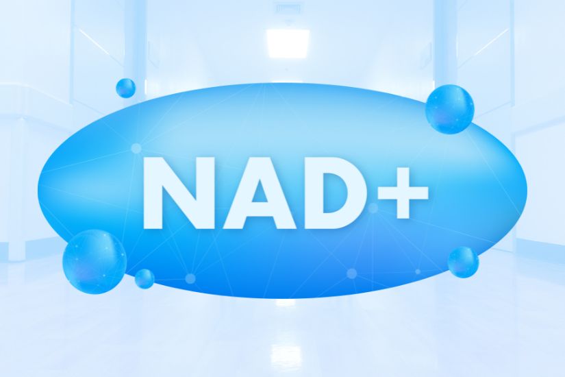 NMN có nguồn gốc từ đâu?