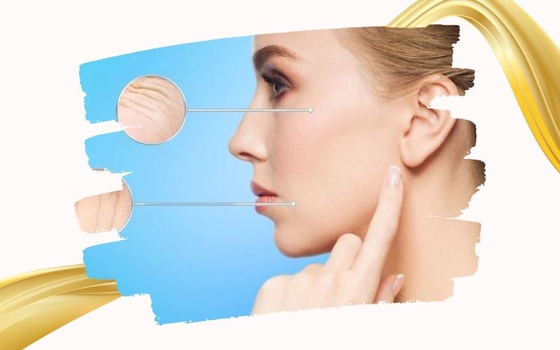 NMN dạng bột: Lợi ích và cách sử dụng