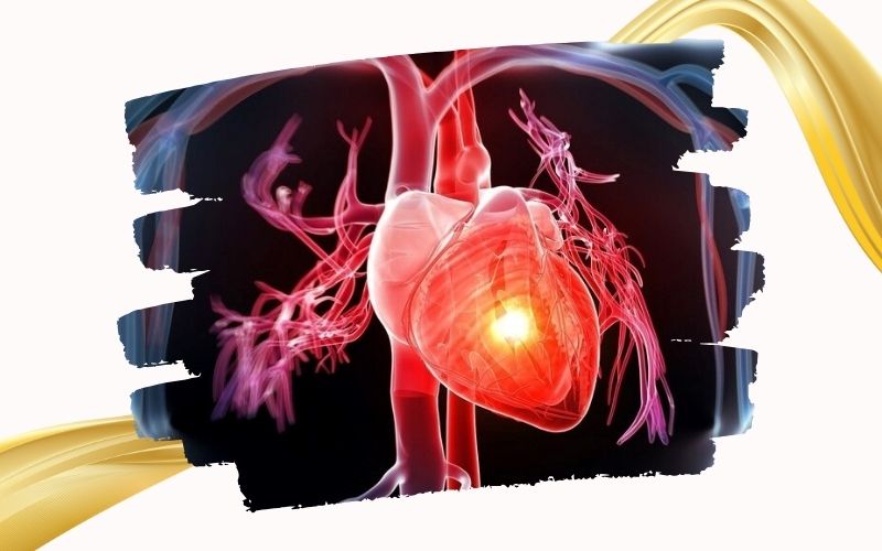 NMN dạng bột: Lợi ích và cách sử dụng