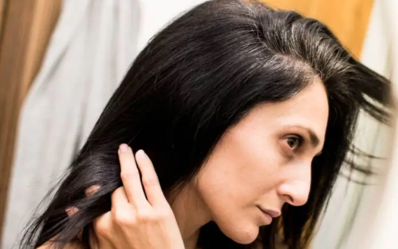 Hỗ trợ giảm cân