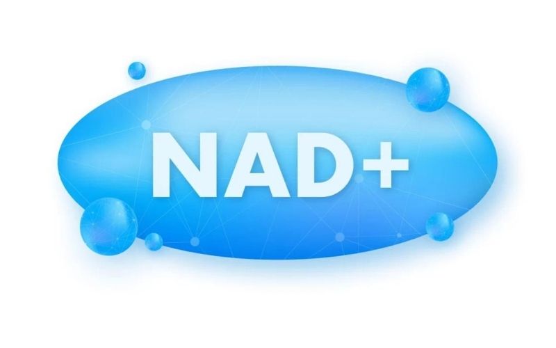 NMN nổi bật trong việc tăng cường mức NAD+, giúp cải thiện chức năng tế bào và làm chậm quá trình lão hóa