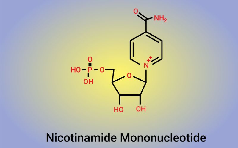 NMN hay còn gọi là Nicotinamide Mononucleotide, đóng vai trò quan trọng trong việc duy trì mức NAD+ trong cơ thể.