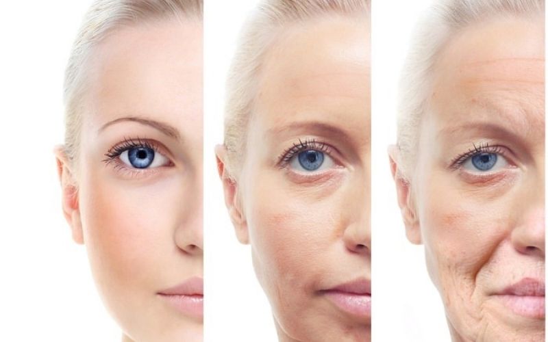 Tái tạo da bằng tế bào gốc làm chậm lão hoá, cải thiện sự đàn hồi da