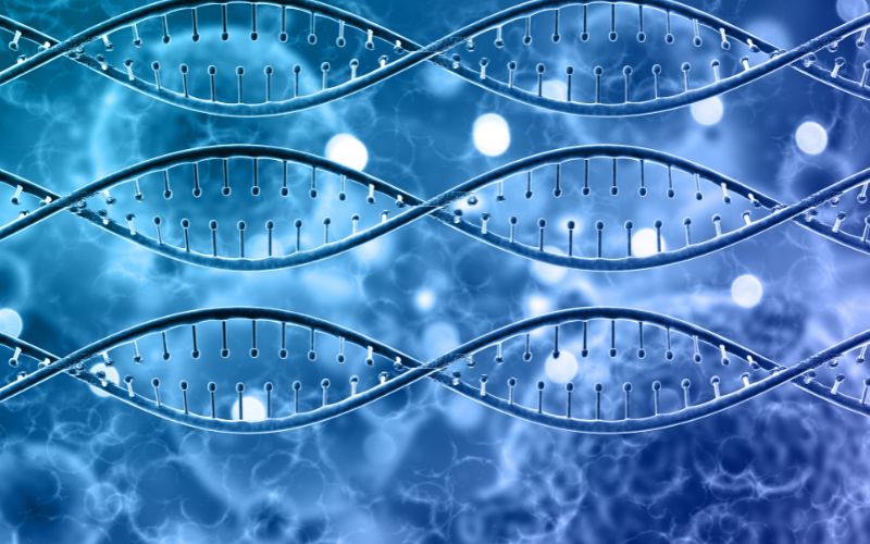 Nếu như không có sự tăng sinh tế bào gốc, cơ thể sẽ chết