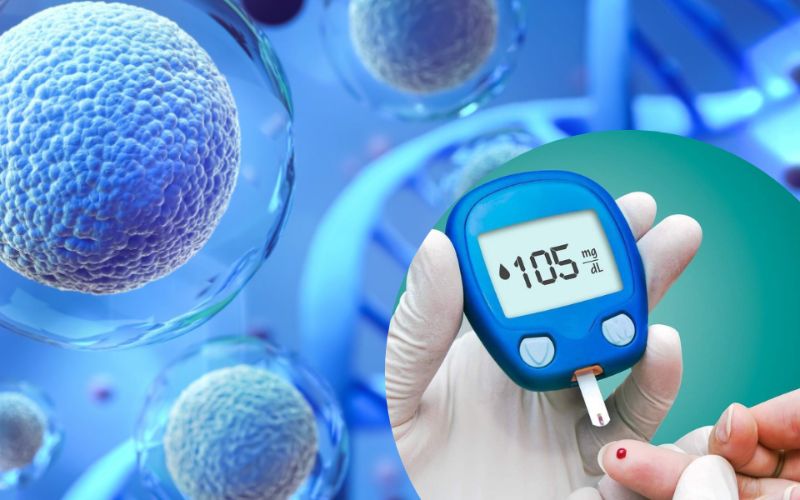 Cơ chế của tế bào gốc điều trị tiểu đường dựa trên những khả năng đặc biệt của chúng