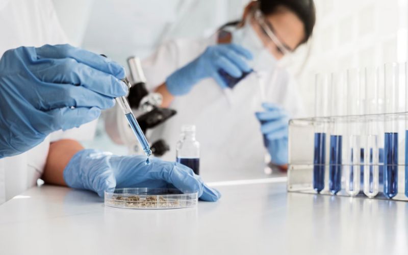 Nghiên cứu tế bào gốc Nhật Bản được coi là quốc gia tiên phong trong lĩnh vực này