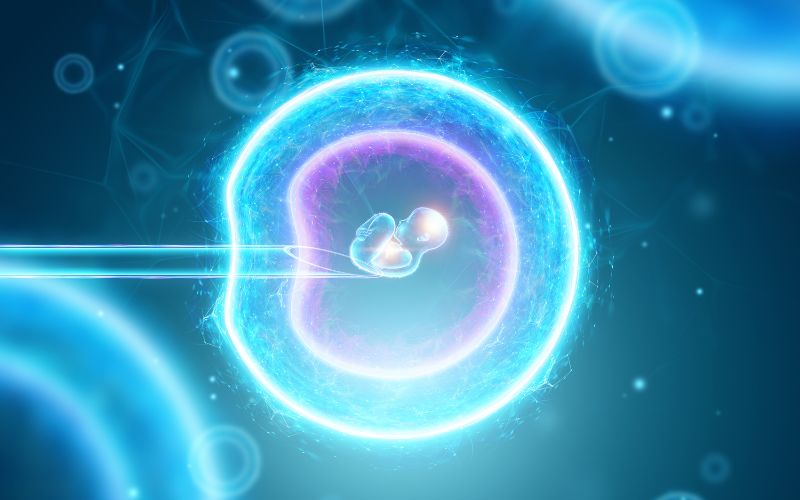 Tế bào gốc phôi là những tế bào toàn năng với khả năng đặc biệt trong việc tự làm mới